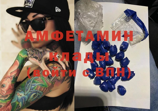 шишки Алексин
