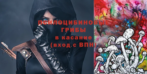 шишки Алексин