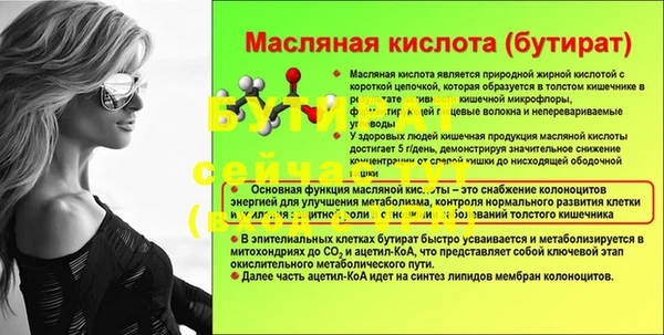 шишки Алексин