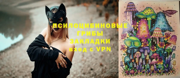 шишки Алексин