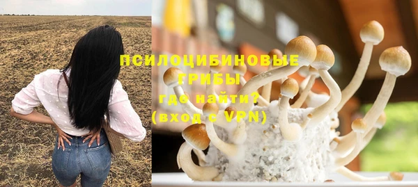 apvp Абаза
