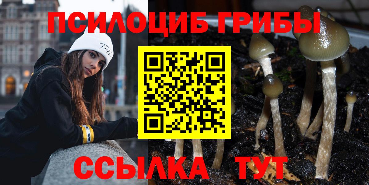 Галлюциногенные грибы Psilocybe Благодарный